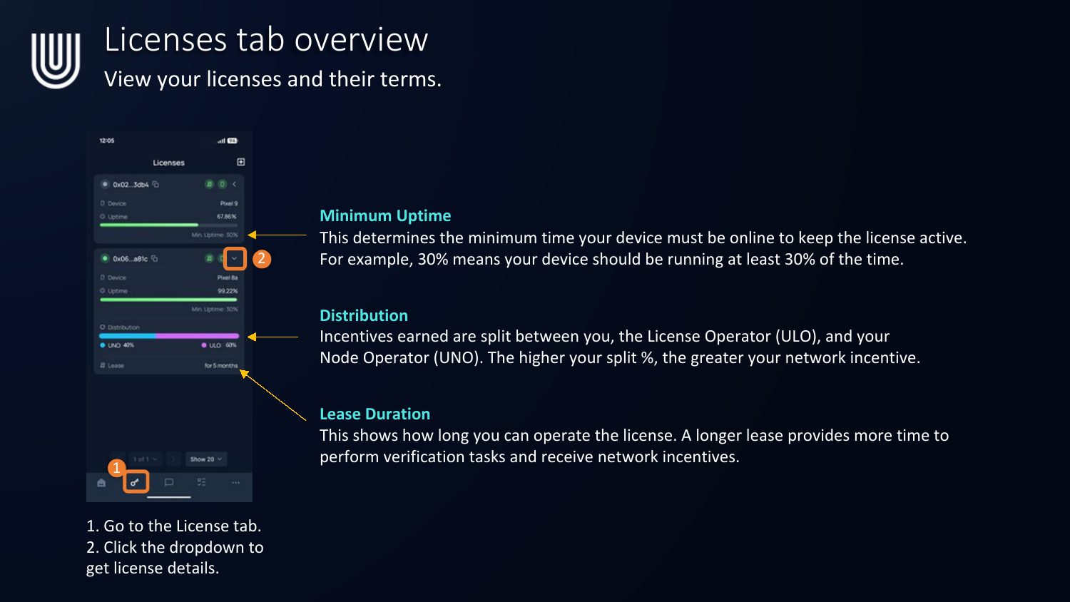 Licenses tab showing minimum uptime, distribution split, and lease duration